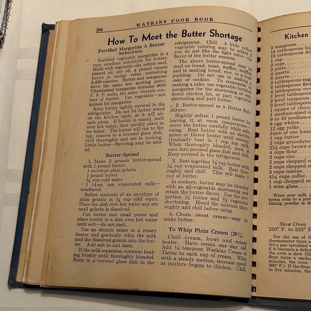 Vintage J. R. Watkins Blue Cook Book - Picture 8 of 11